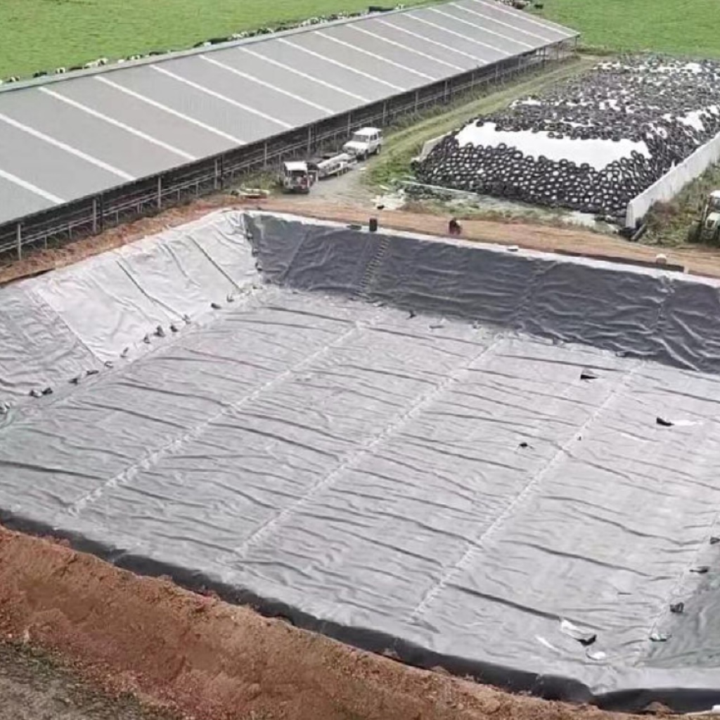 HDPE Geomembrane